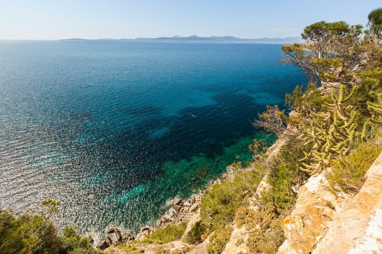 Els Dofins Llucmajor (Mallorca)